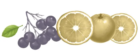 Cranberry of vitamine C geen invloed op urobioom