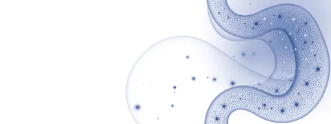 Darmmicroben verbranden energie