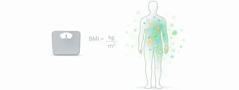 BMI met metabole index
