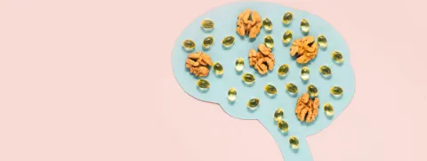 vit_hersenen