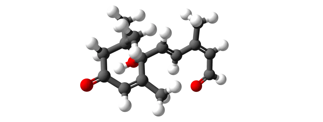 Abscisinezuur bij prediabetes