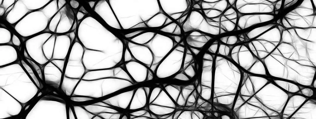 Lage waarde vitamine B12 hindert medicatie tegen alzheimer