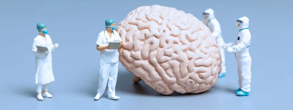 Alzheimer in de microbiota?