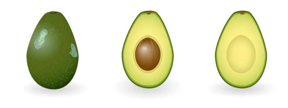 Avocado en soja effectief bij vulvaire lichen sclerosus