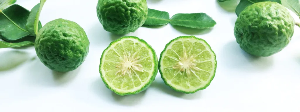 Bergamot en kardoen verlagen urinezuur