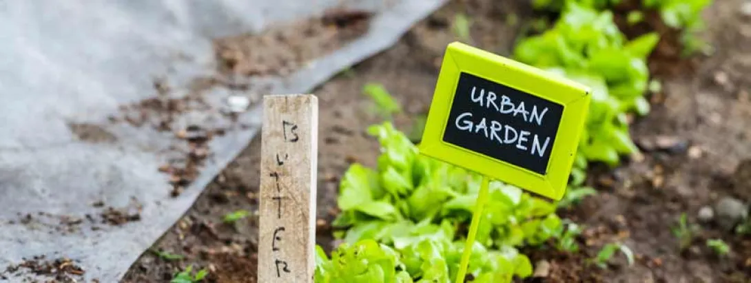 De 'biologische consument' eet duurzaam