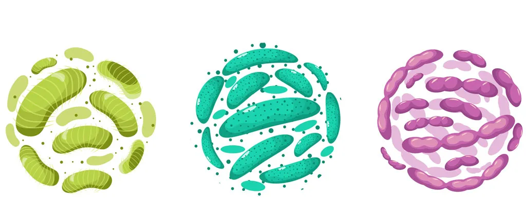 Probiotica gaan samen met leefstijl