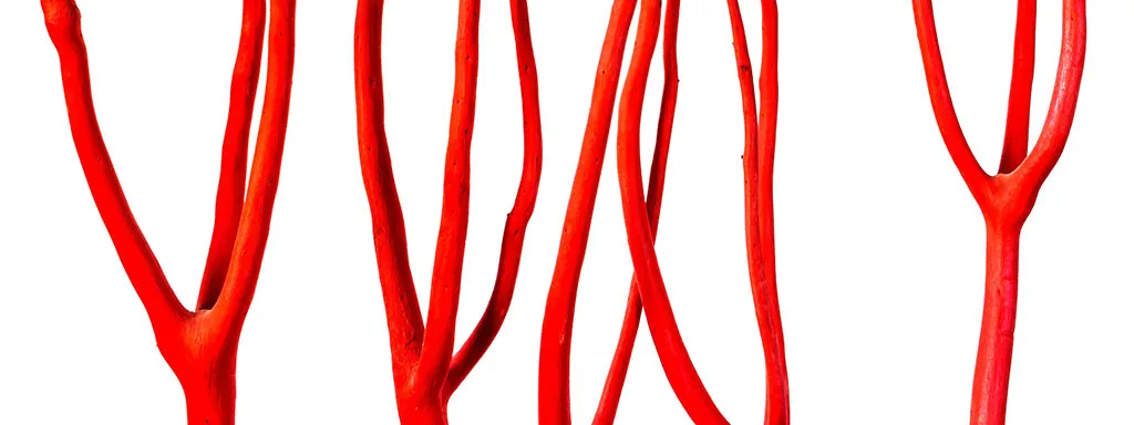 AGE's reduceren met B6