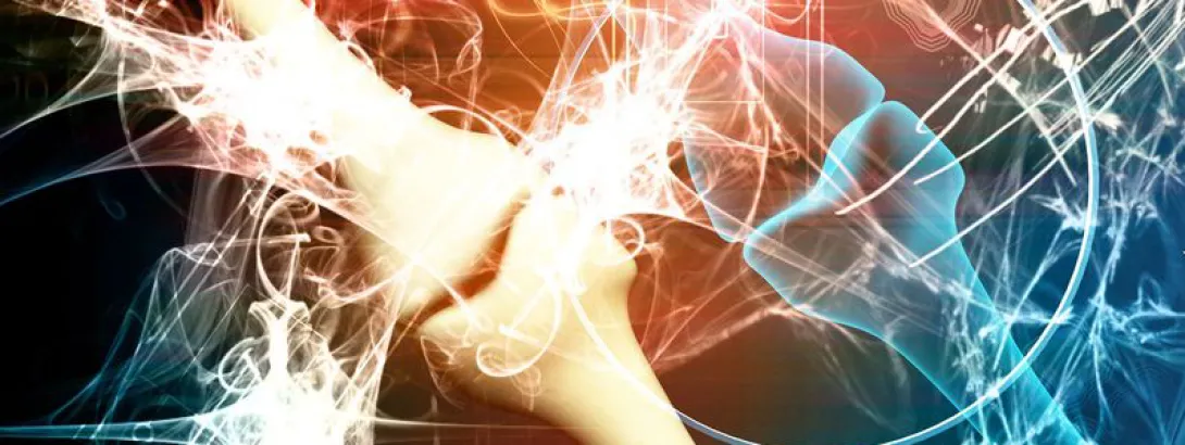 Plantaardig en botgezondheid