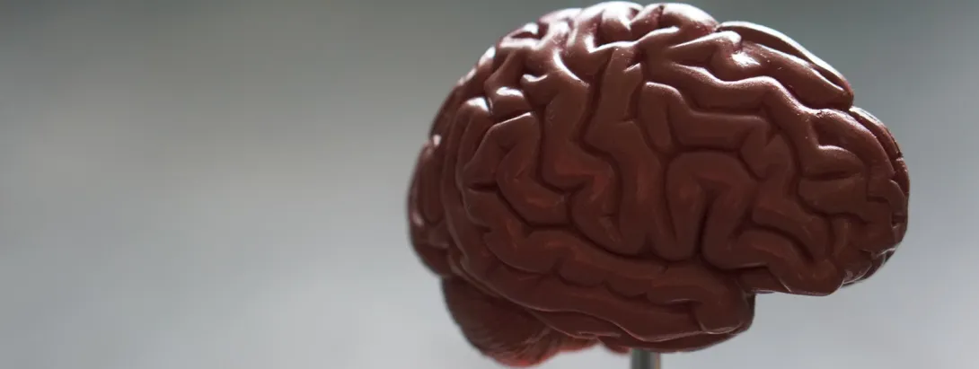 Choline tegen cognitieve stoornissen