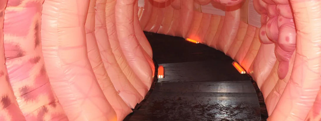 Ontstekingsremmende voeding tegen darmontsteking