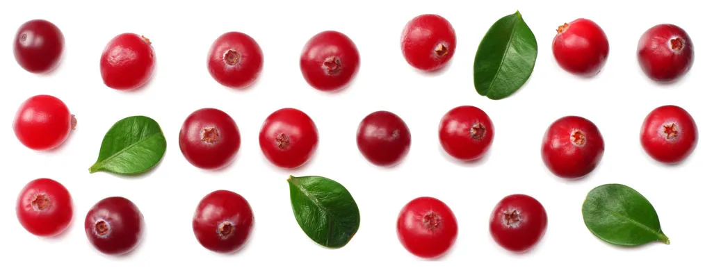 Cranberry afhankelijk van metabool type