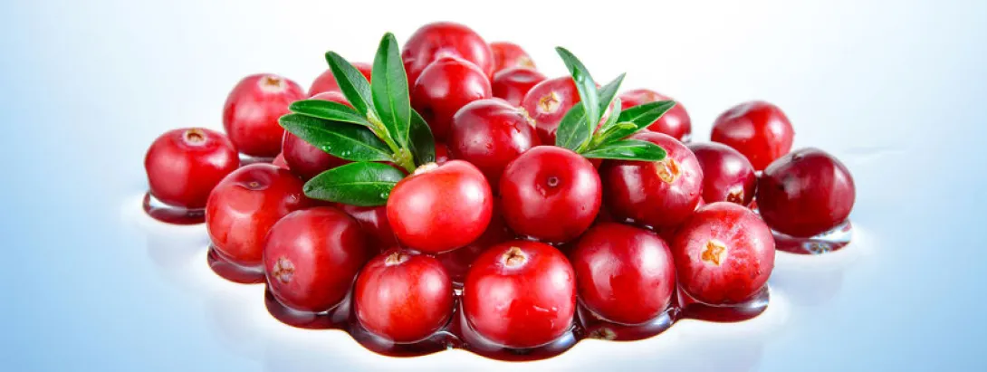 Cranberry verhindert bacteriële aanhechting aan de blaaswand