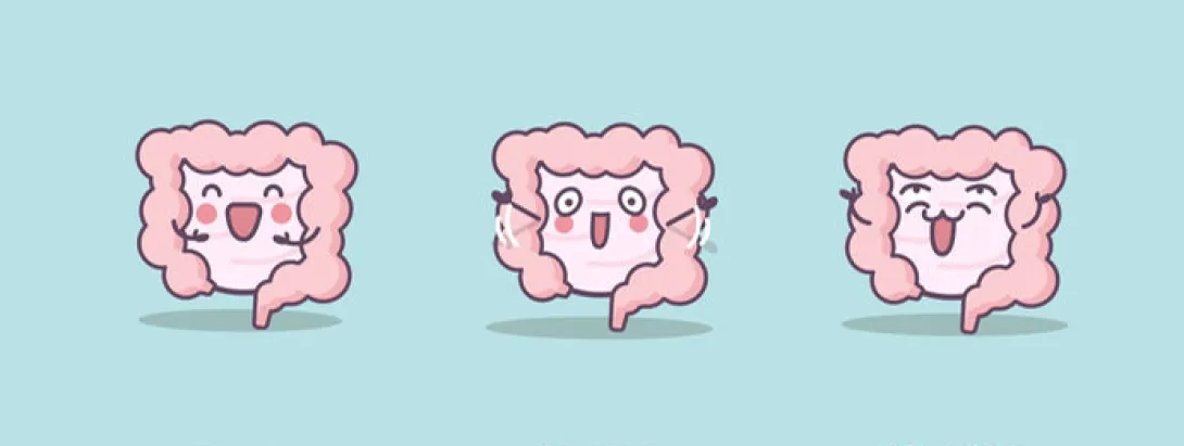 Microbiota vs verouderen