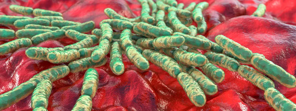 Babydarm steriel tijdens de geboorte