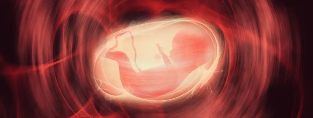 Epigenetica van beweging