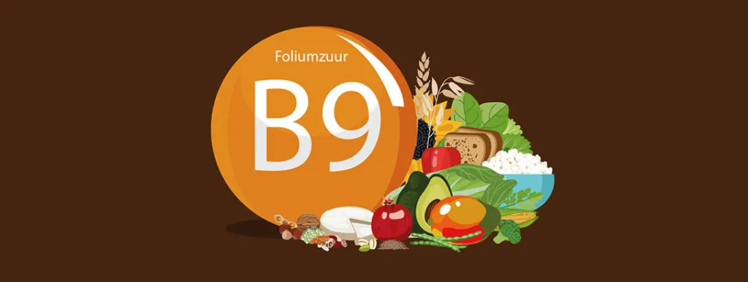 Gebruik foliumzuur bij zwangerschap laag onder migrantenvrouwen