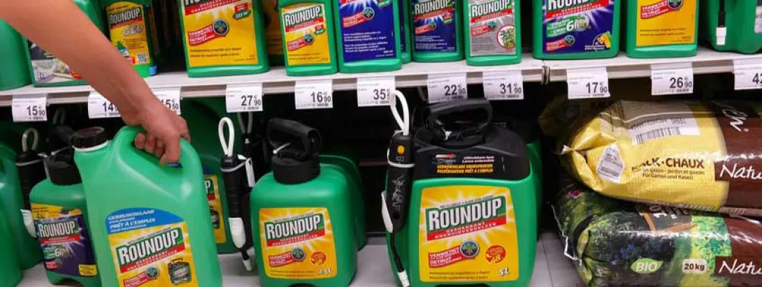 Glyfosaat verkort zwangerschap?