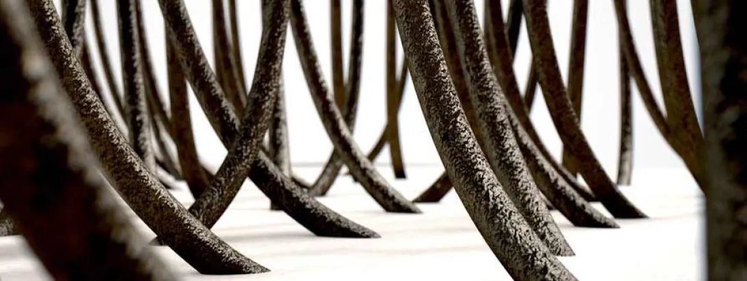 Haaranalyse verraadt vitamine D-status 