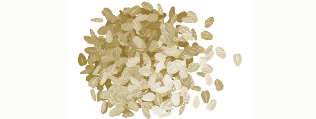 Haverfermentatie levert postbioticum af