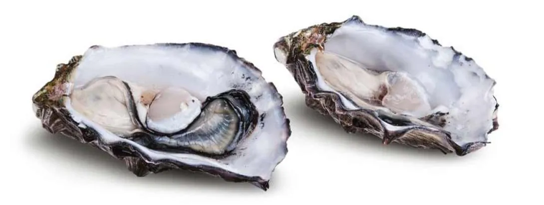 Kopertekort doet vetcellen zwellen