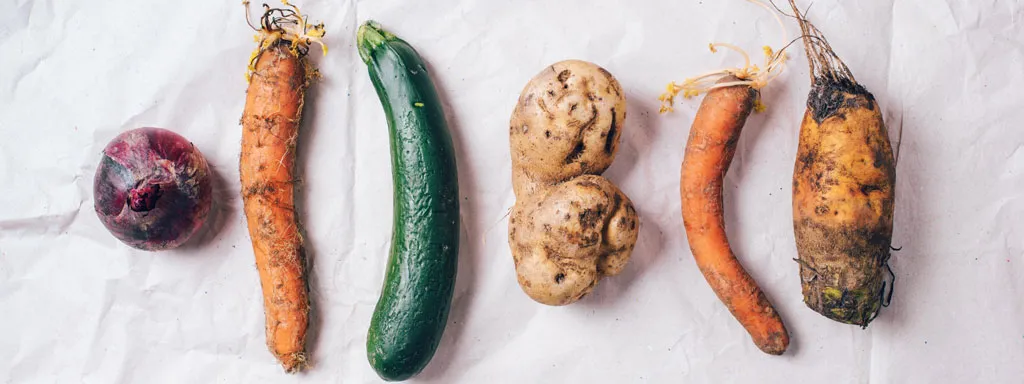 Vezel en inositol vs metS