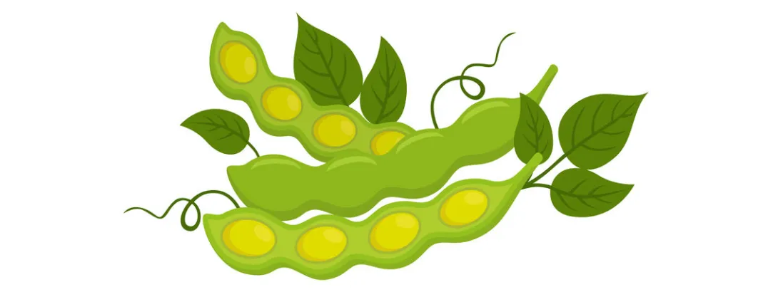 Soja-isoflavonen verlagen (en verhogen) bloeddruk