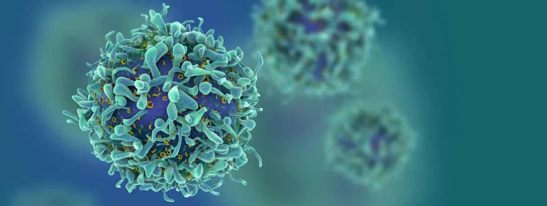 T-cellen gebruiken creatine voor tumorafweer