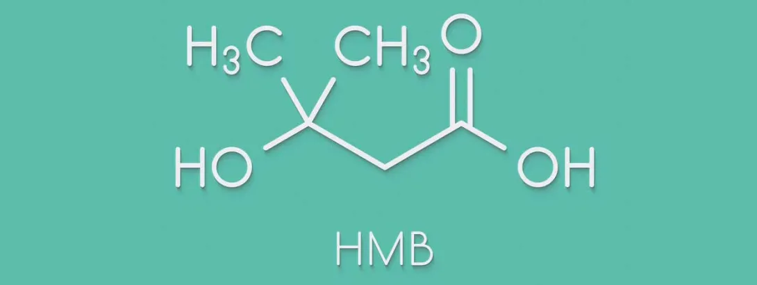 HMB remt sarcopenie na levertransplantatie