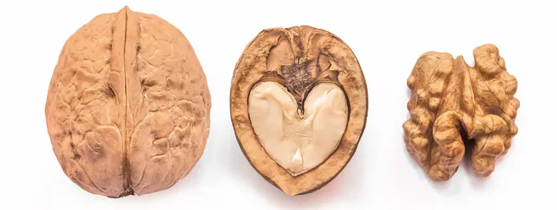 Plantaardige omega-3 gunstig voor het hart