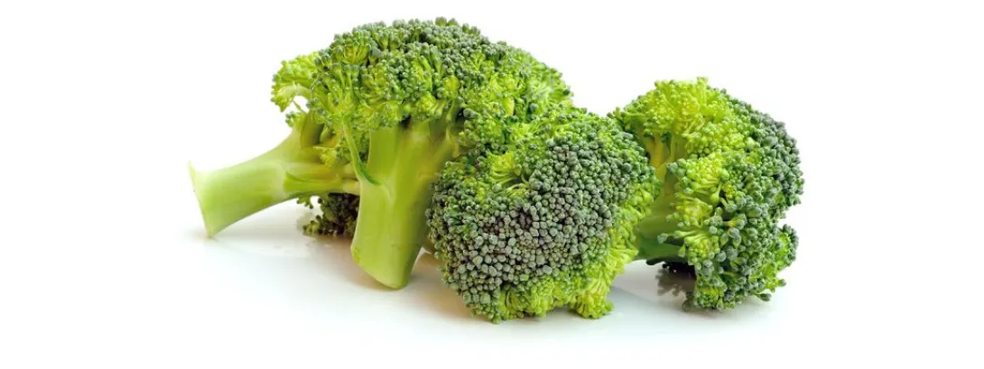 Stof uit broccoli laat zich kennen bij autisme