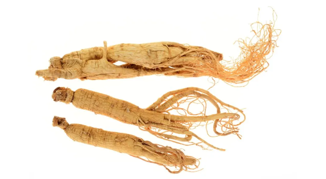 Ginseng gunstig bij diabetes via hormonale interacties