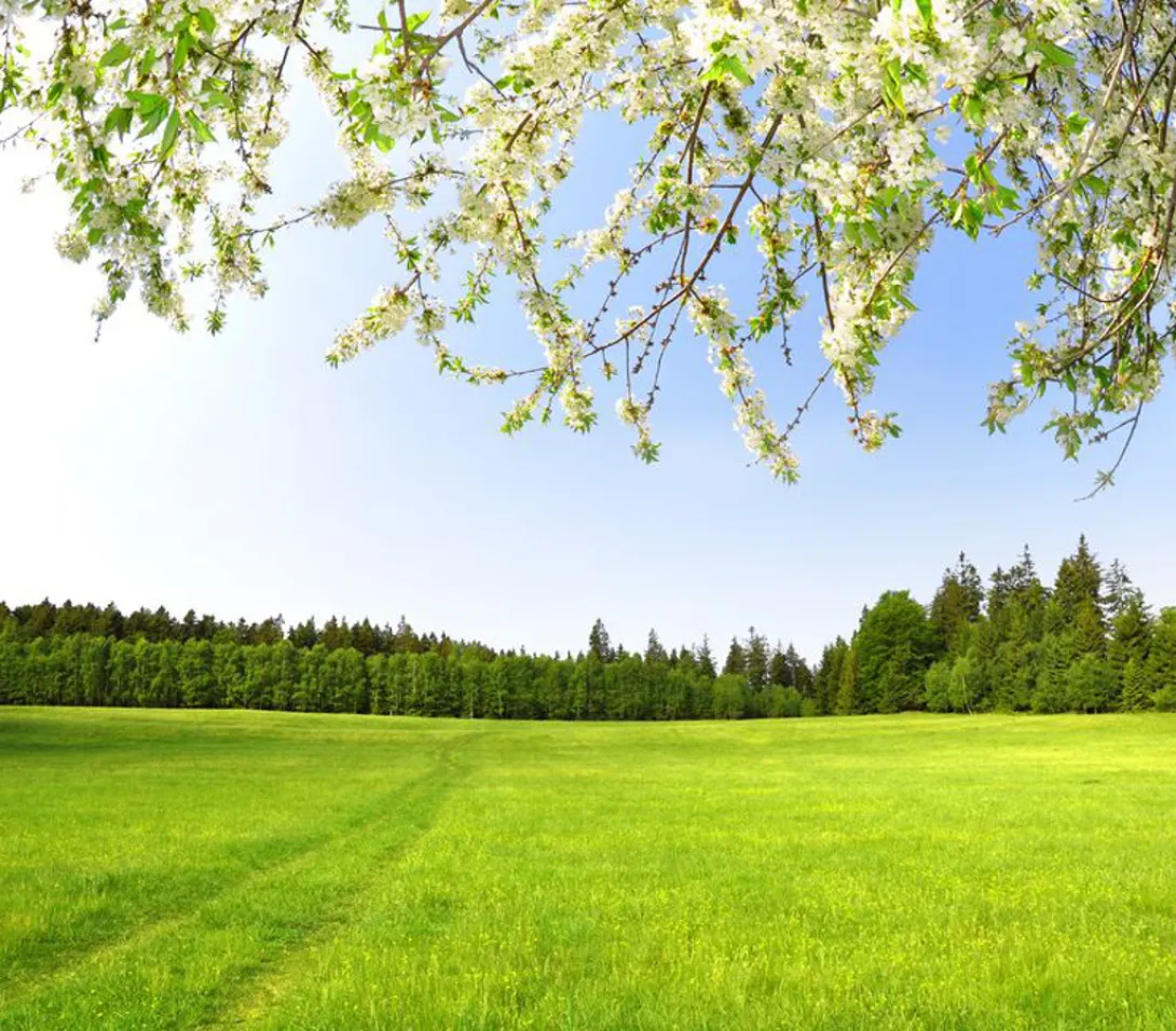Een groene omgeving beurt op