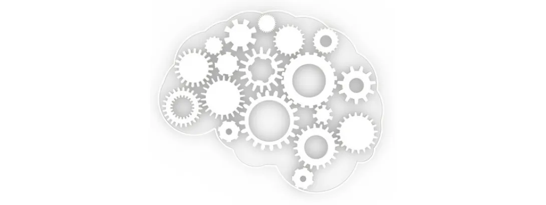 Luteine en zeaxanthine voor efficiëntere informatieverwerking