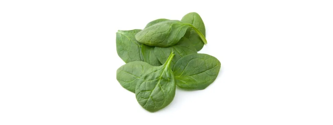 Nitraat verlaagt het rustmetabolisme