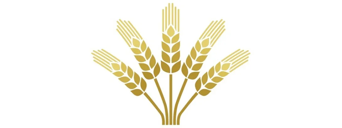 Non-coeliakie glutengevoeligheid schoorvoetend erkend