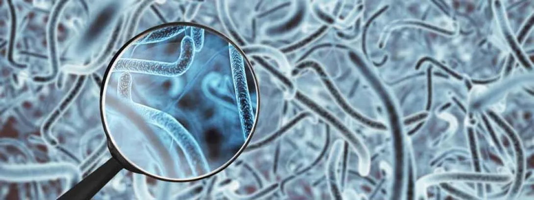 Persoonlijk darmmicrobioom voorspelt effectiviteit medicatie