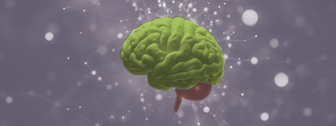 DHA verbetert geheugen en celveroudering