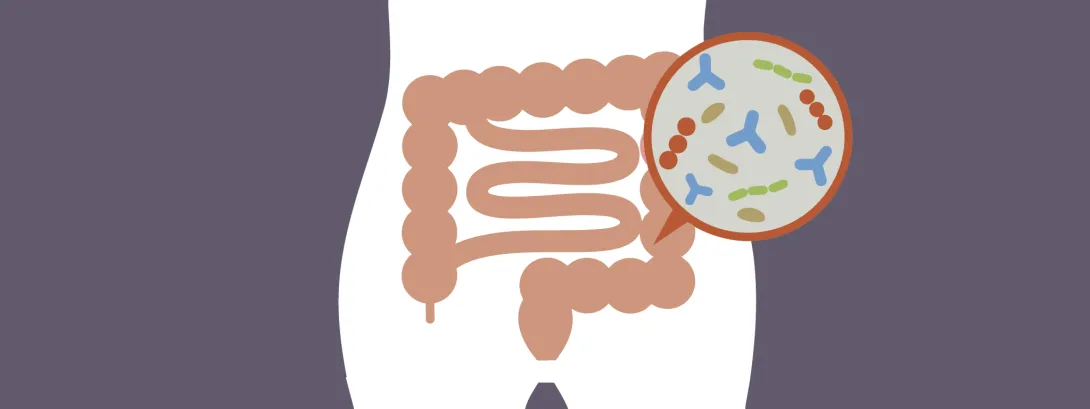 Probiotica verlichten obstipatie en stress