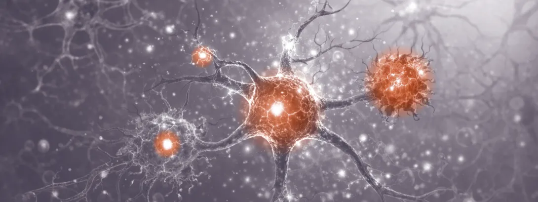 Moringa versterkt immuniteit van hiv-patiënt