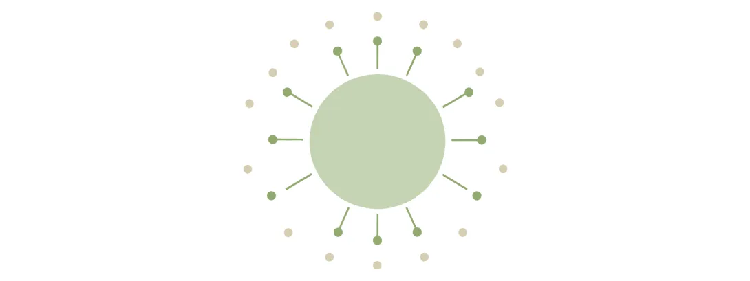 Het grote aanbod van Chinese kruiden bij chronische hepatitis B