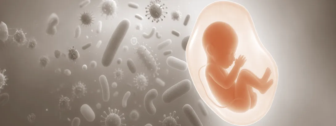 Voeding voor het microbioom van de baby